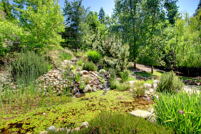 Sold! Absolutely Gorgeous Home in Fair Oaks!