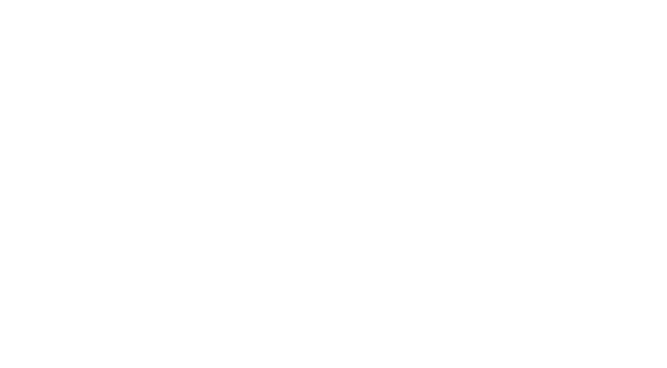 Light Logo