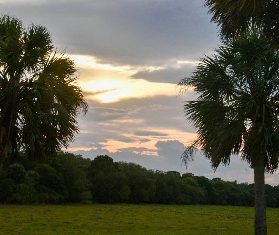 Taylor Creek Preserve