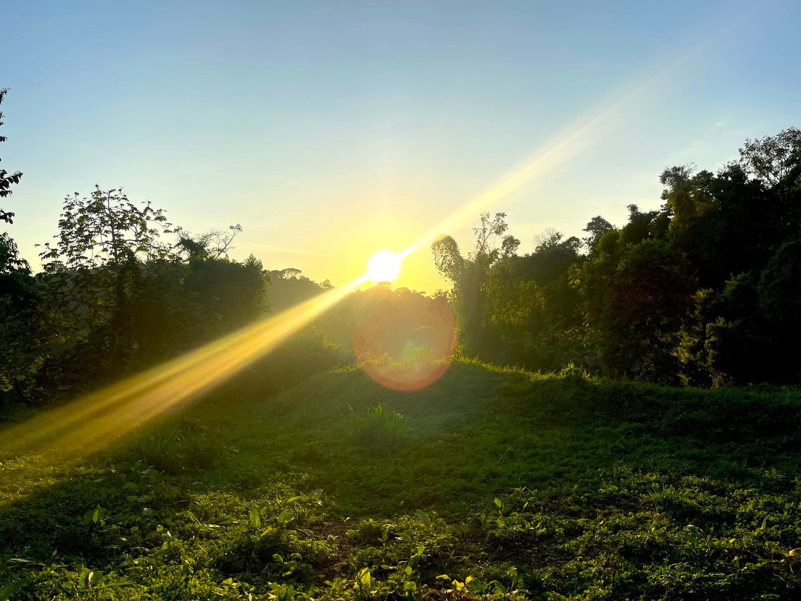 3 ACRES – Beautiful Mountain View Property, Small Ocean Window, Public Road Frontage, Multiple Building Sites, Many Fruit Trees!!!!