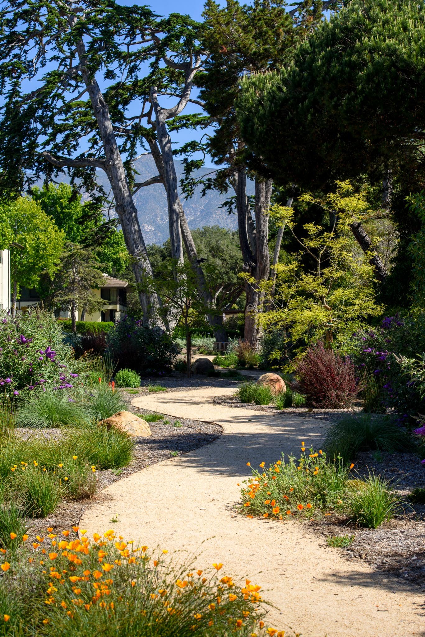 Idyllic Beachfront Living In Montecito