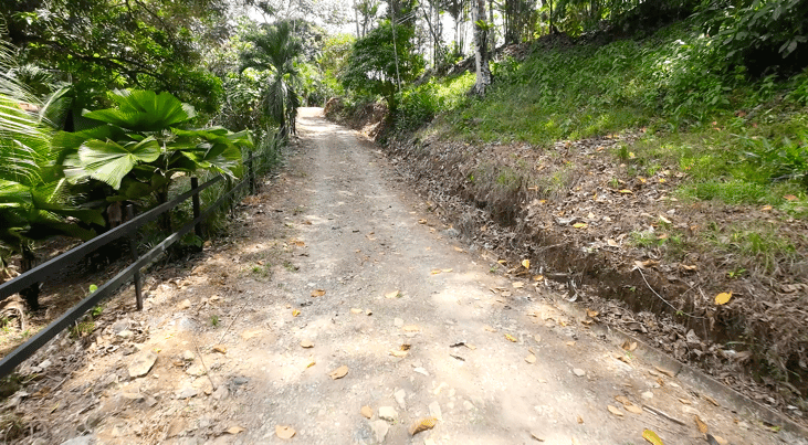 Multi-Home Income Estate Near Marino Ballena National Park