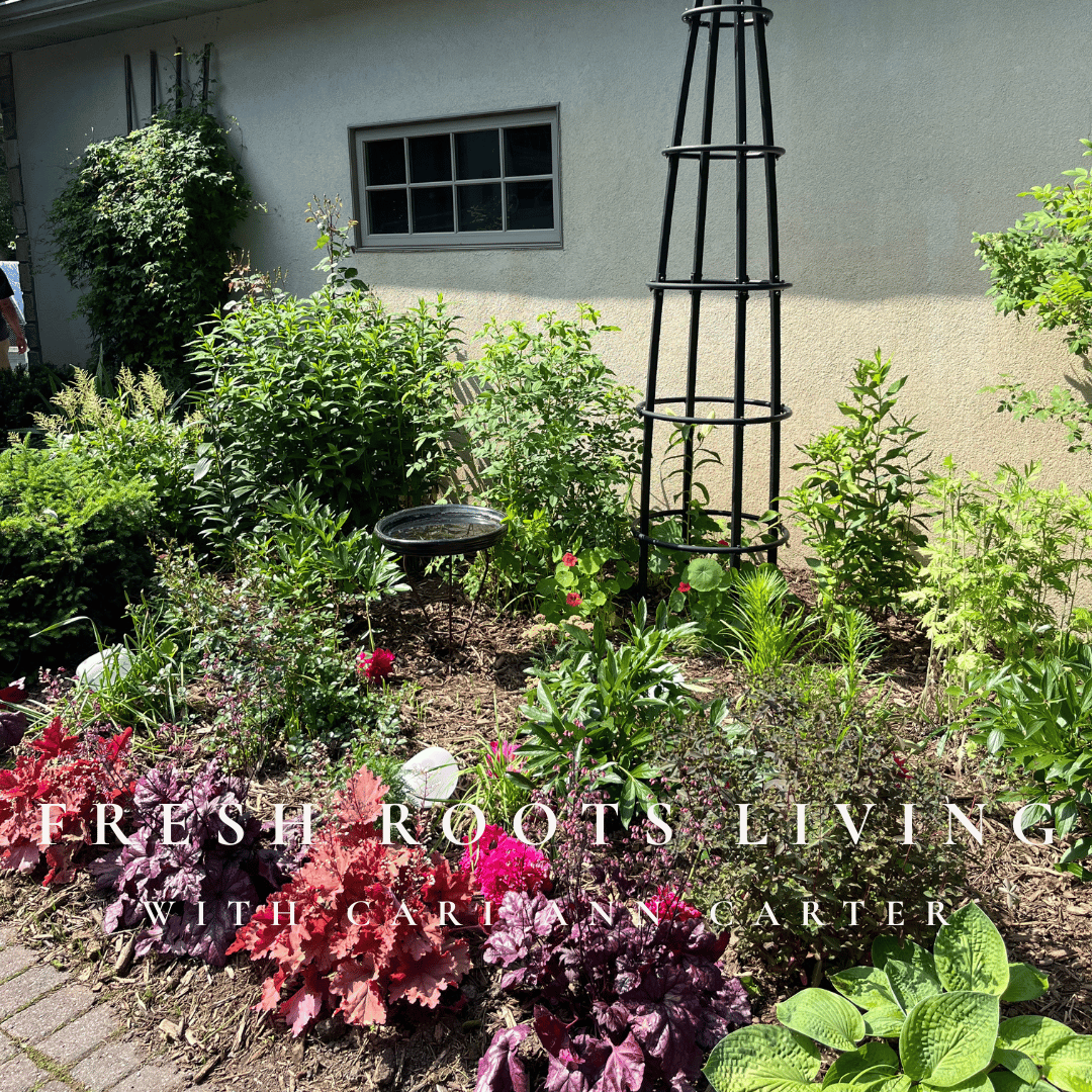 Transplanting Made Simple