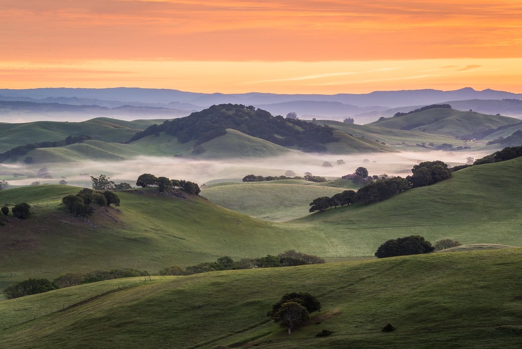 PETALUMA