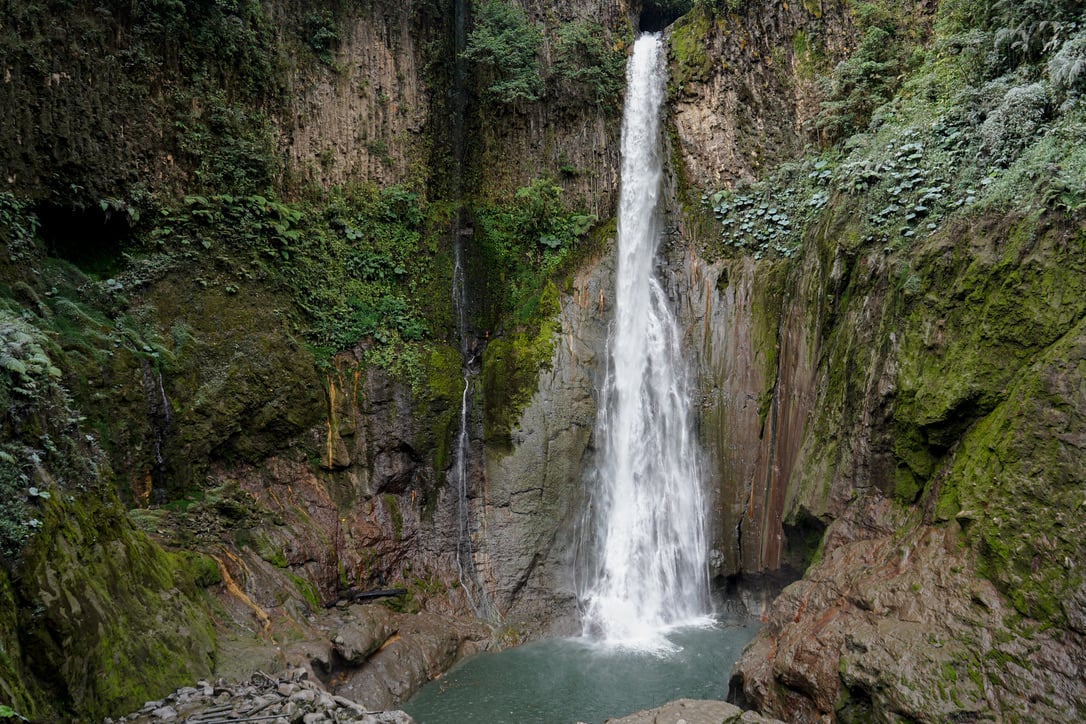 La Monarca