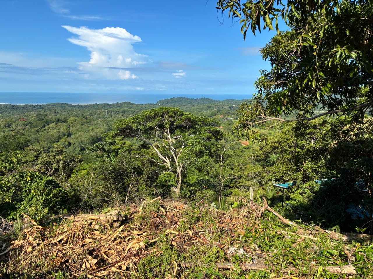 Spectacular Ocean View Lot in Ojochal Phase 9
