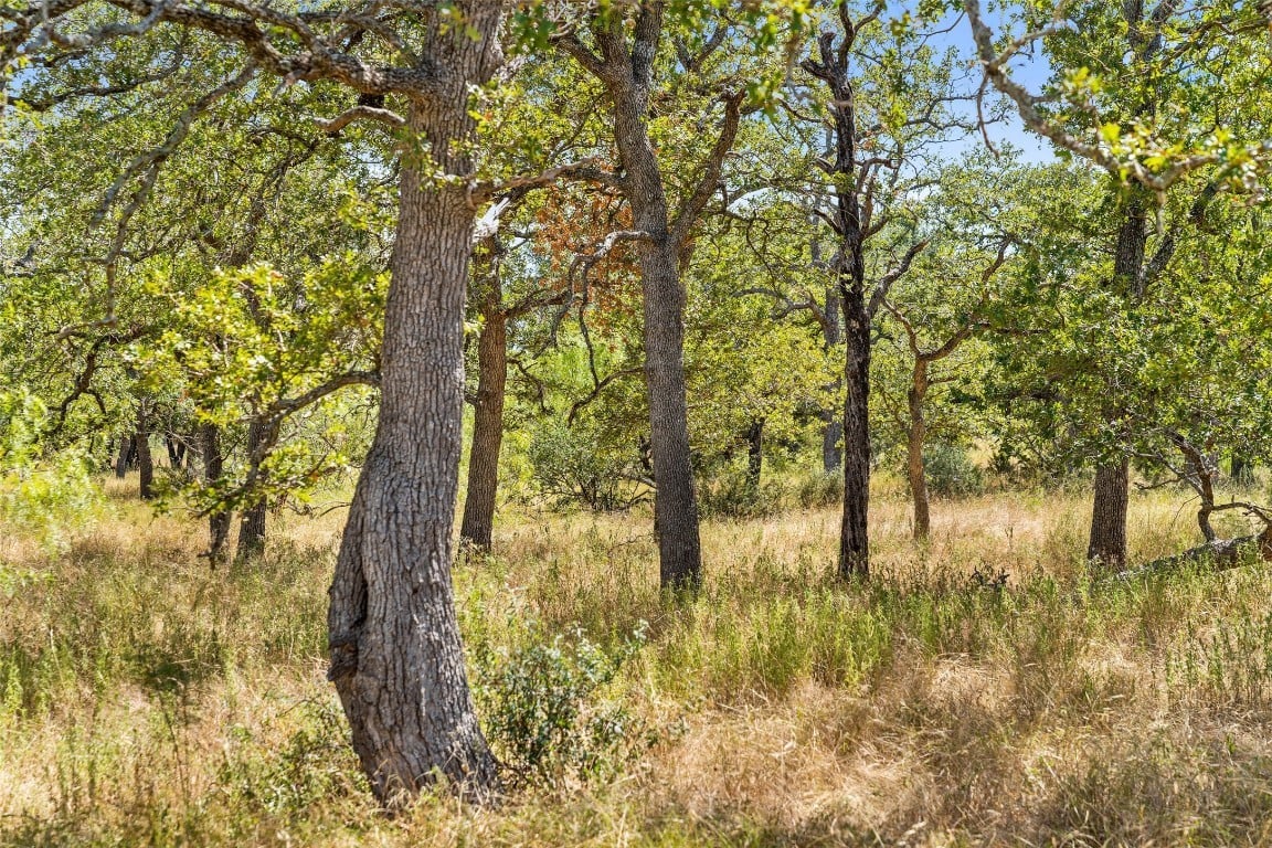 18.145 Acres Herber-schaefer Rd