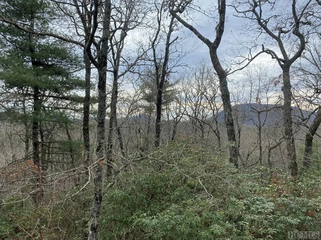 1878 High Mountain Dr