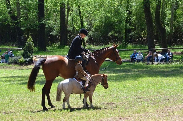 Historic Aiken