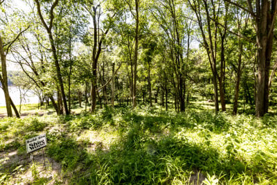 Shire Wood - August Update