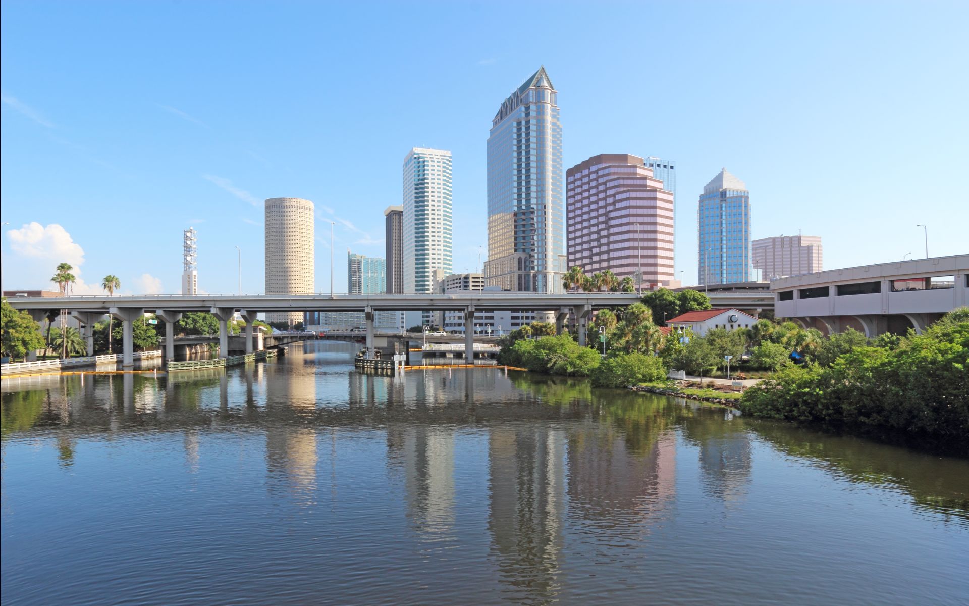 South Tampa Living