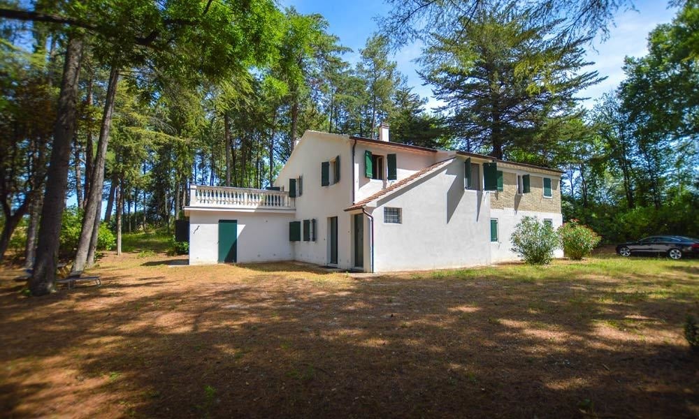 Charming Villa in the Woods of Le Marche