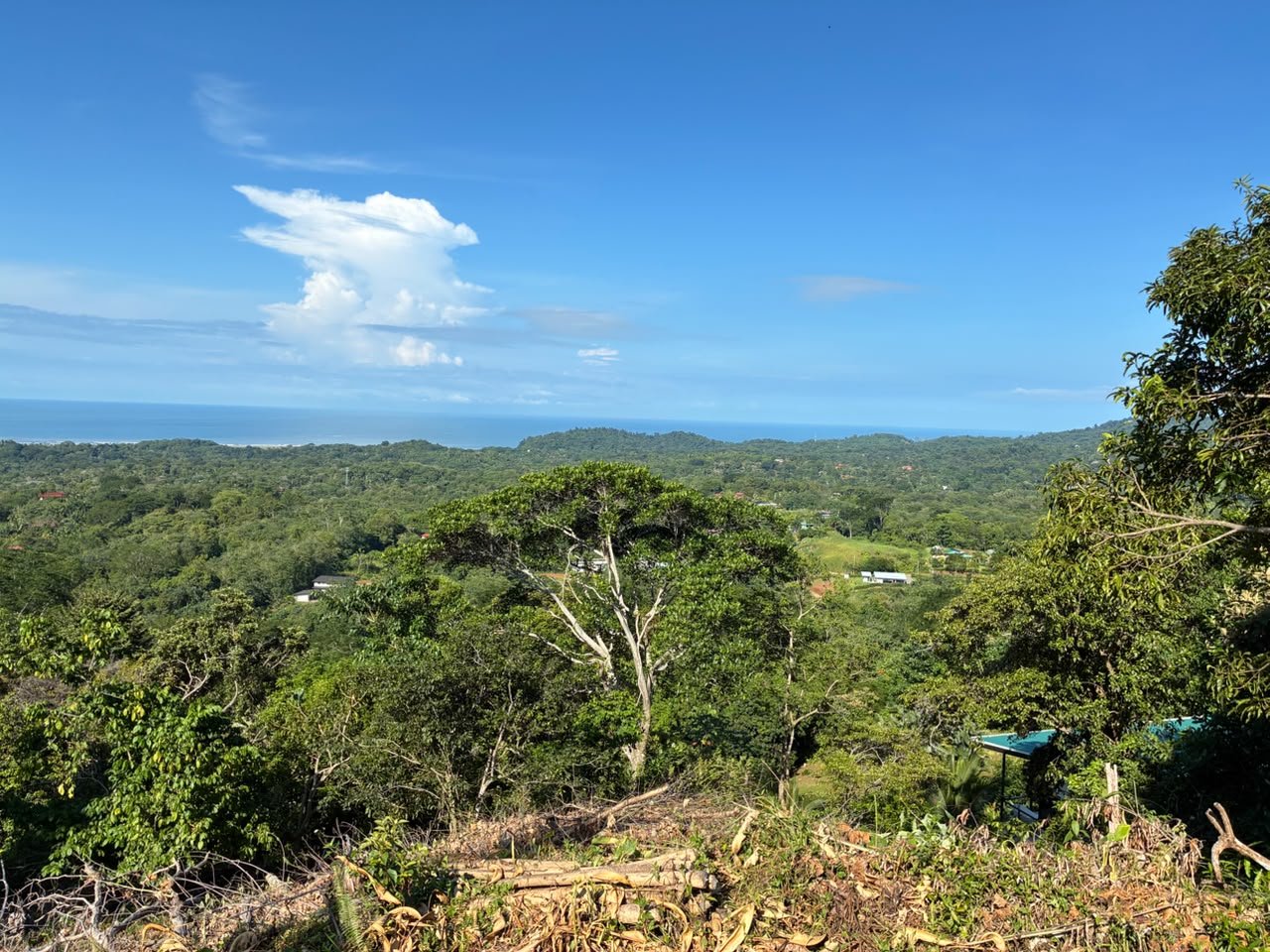 Spectacular Ocean View Lot in Ojochal Phase 9