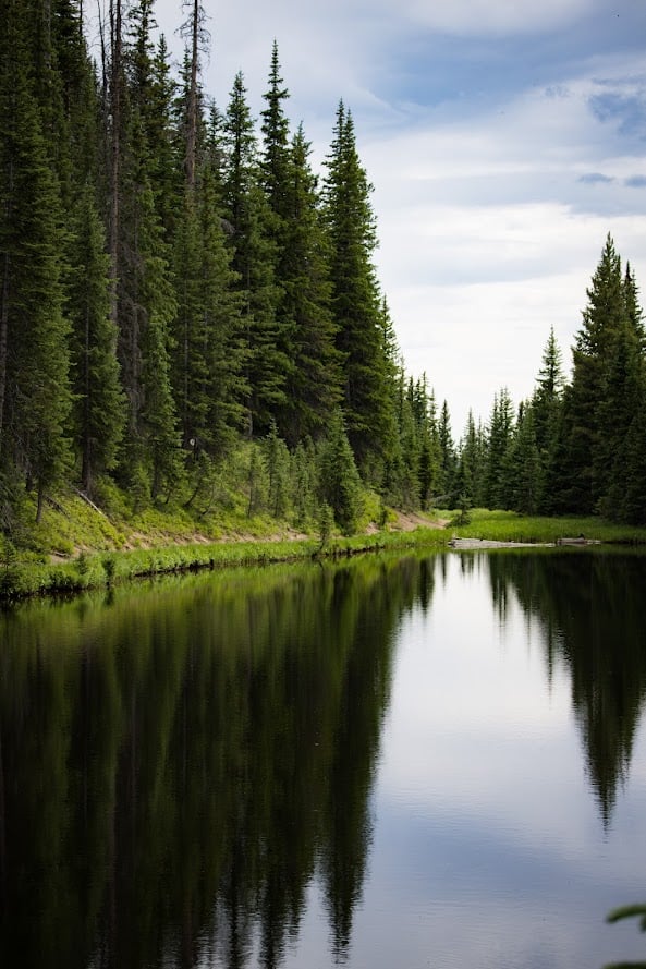 Where the Road Meets the Sky: Driving Trail Ridge Road