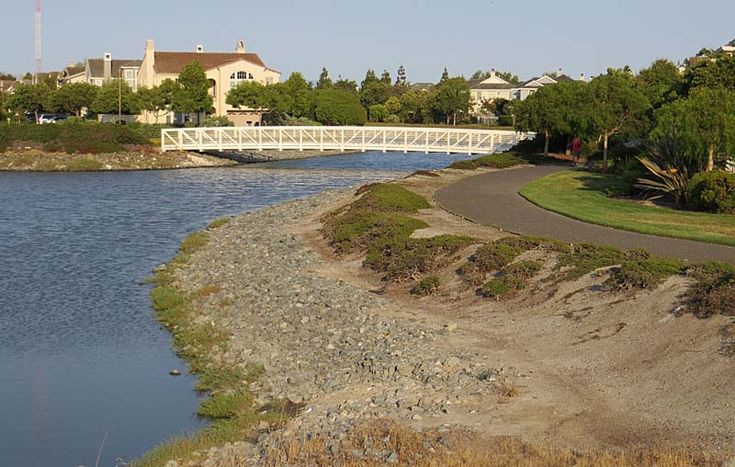 Redwood Shores