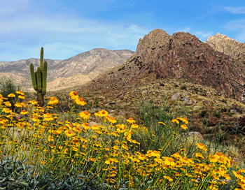 10 Fun Things To Do in May! cover