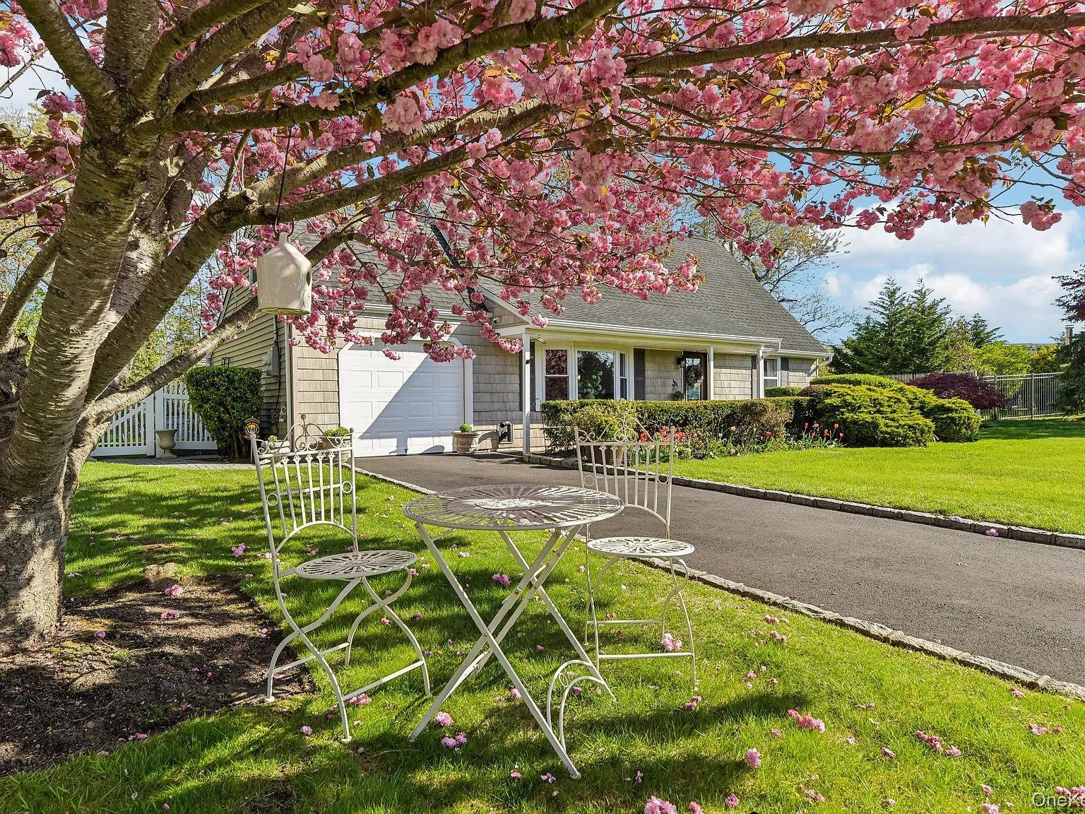 41 Orchid Rd