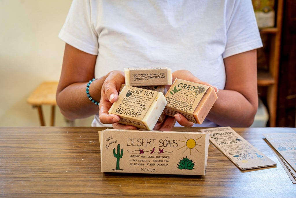 Have You Thought About Being A Los Cabos Entrepreneur?