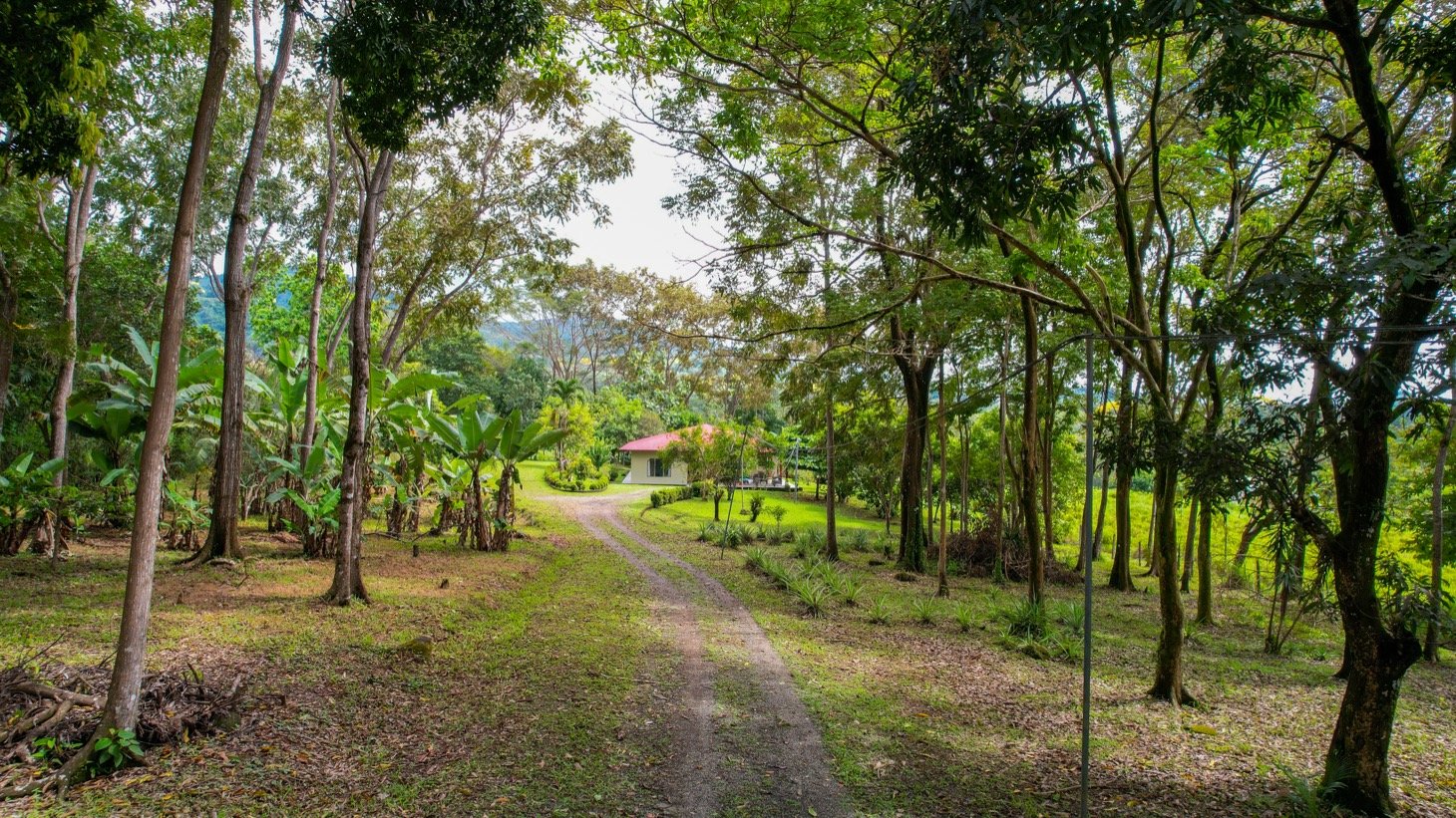 House for Sale in Ojochal, Costa Rica – Traditional Charm on 2.75 Acres