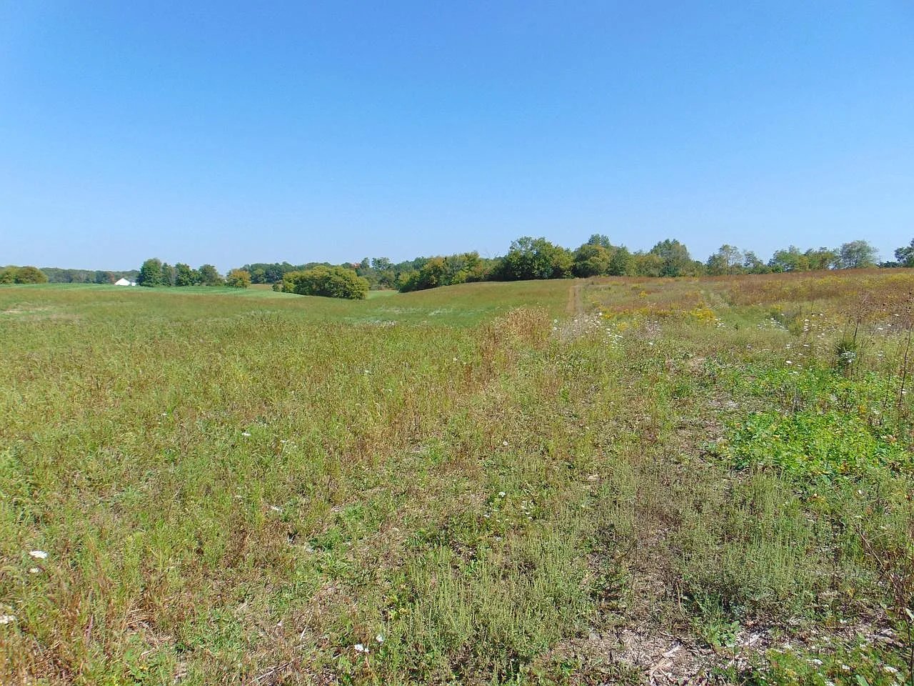 Lot 12 Maple Tree Rd