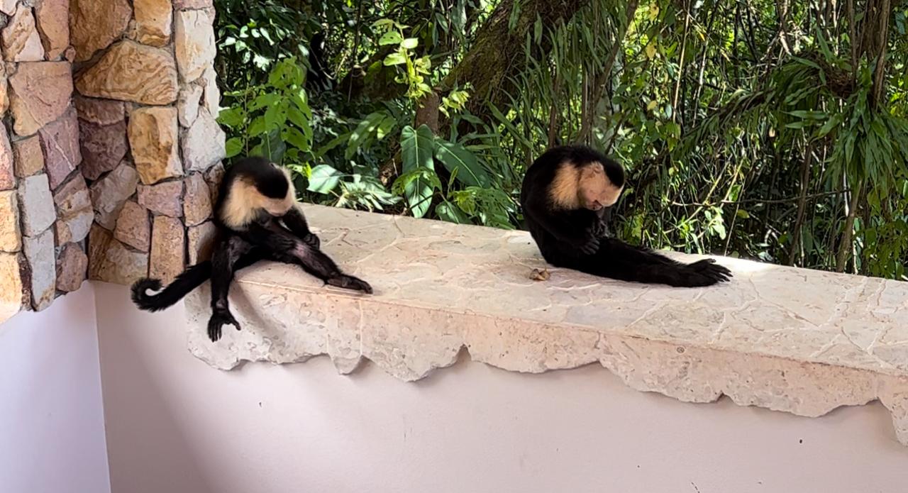 Castillo Puesta del Sol, Escalares - 