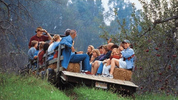 A group of adults and children ride a hay wagon along a wooded path.