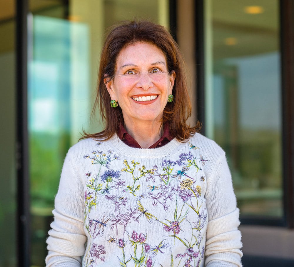 Darlene Streit image