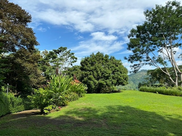 Build Amidst Untouched Jungle & Mountain Vistas | Ocean-View Estate with Fruit Orchards + Casita Design Your Vision in Tres Rios, Costa Rica