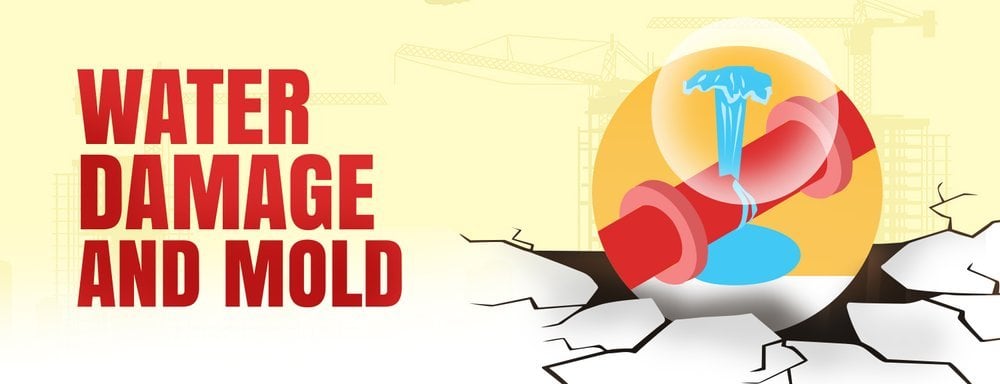 Water damage and mold warning graphic with a leaking pipe above cracked ground.