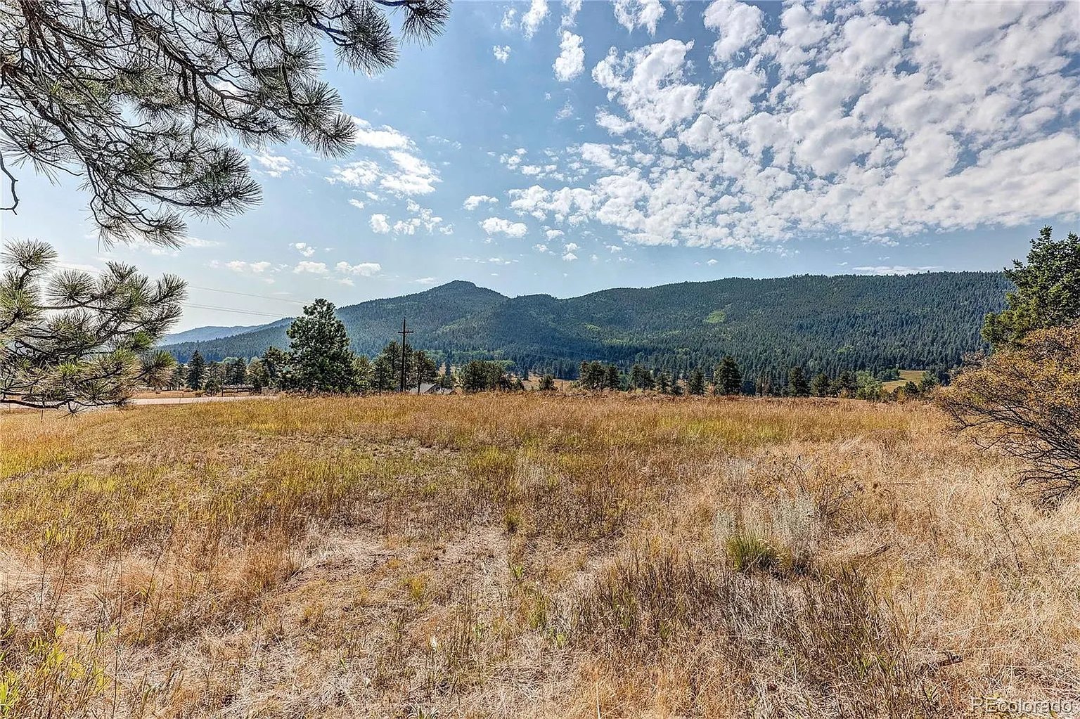 9335 Eagle Cliff Rd LOT 1