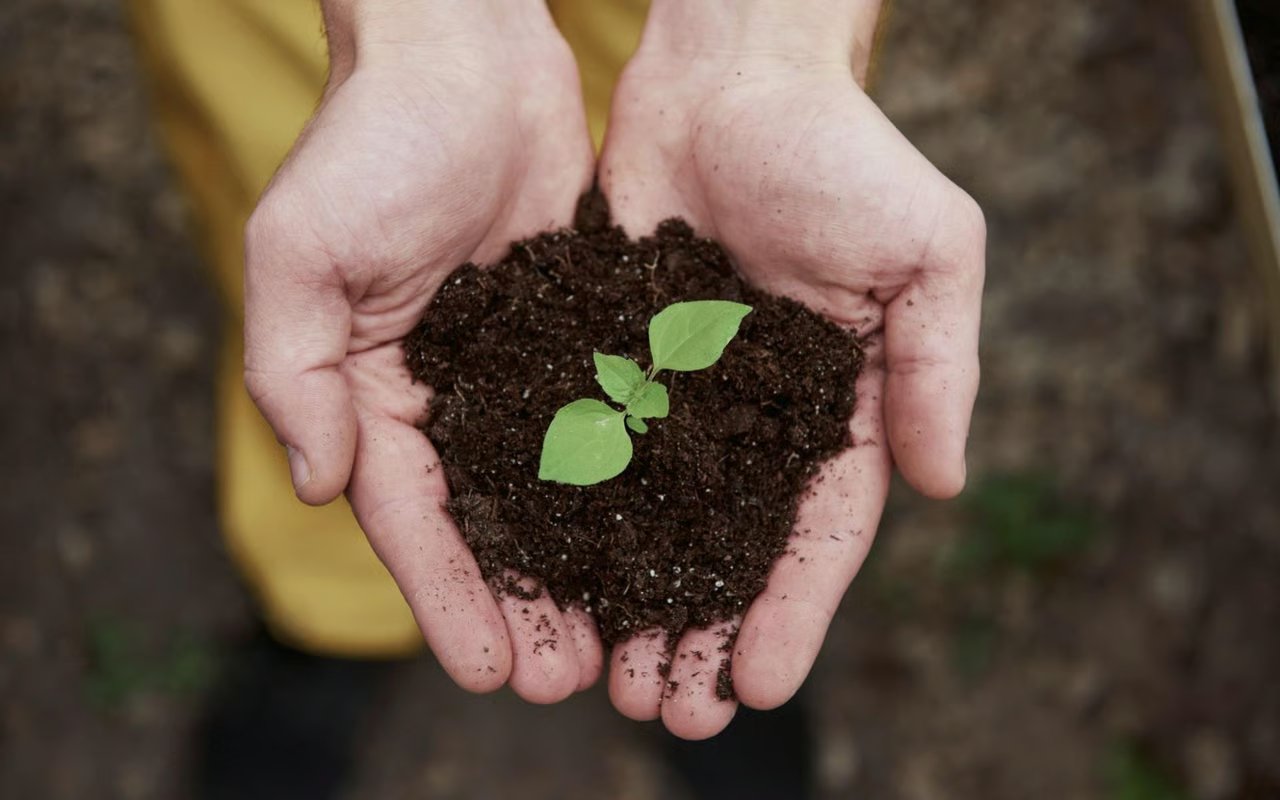 Eco-Friendly Homes in Arlington: Sustainable Living