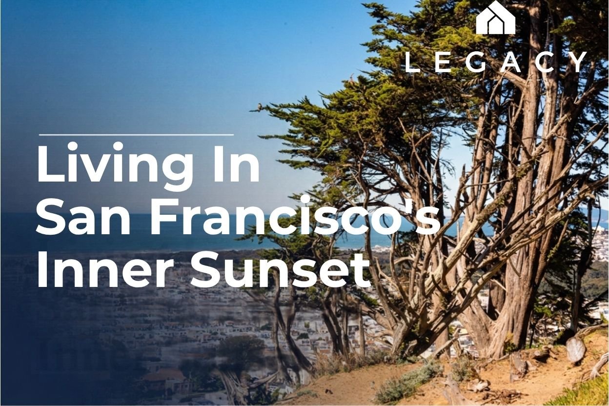 Ocean view and trees overlooking San Francisco's Inner Sunset neighborhood.