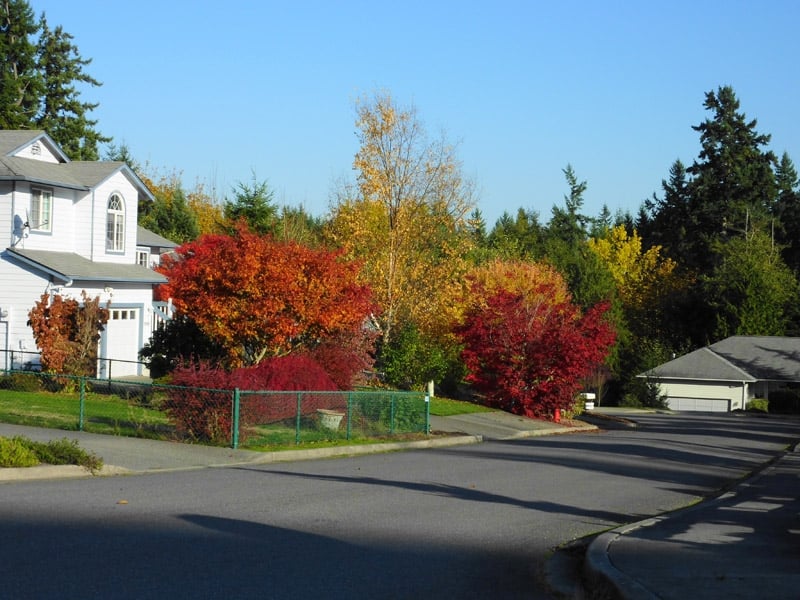 Applewood Estates