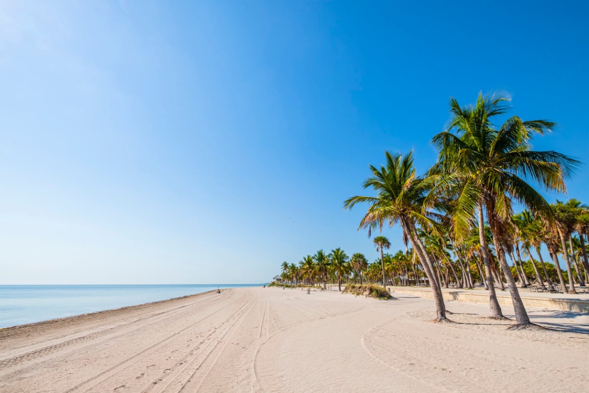 Sunny sandy beach with calm water and rows of palm trees along the shore.