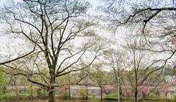 555 Boylston St, #555