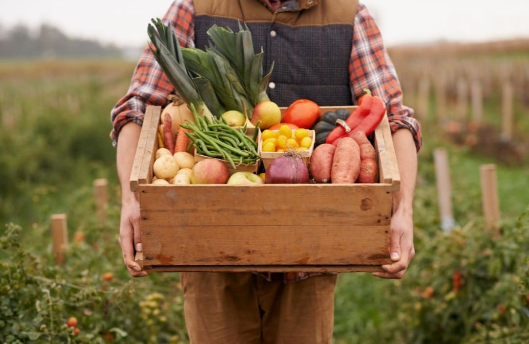 Make the Most of Summer: Our Favorite Local Farm Destinations