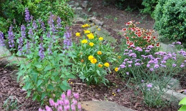 Garden Love!