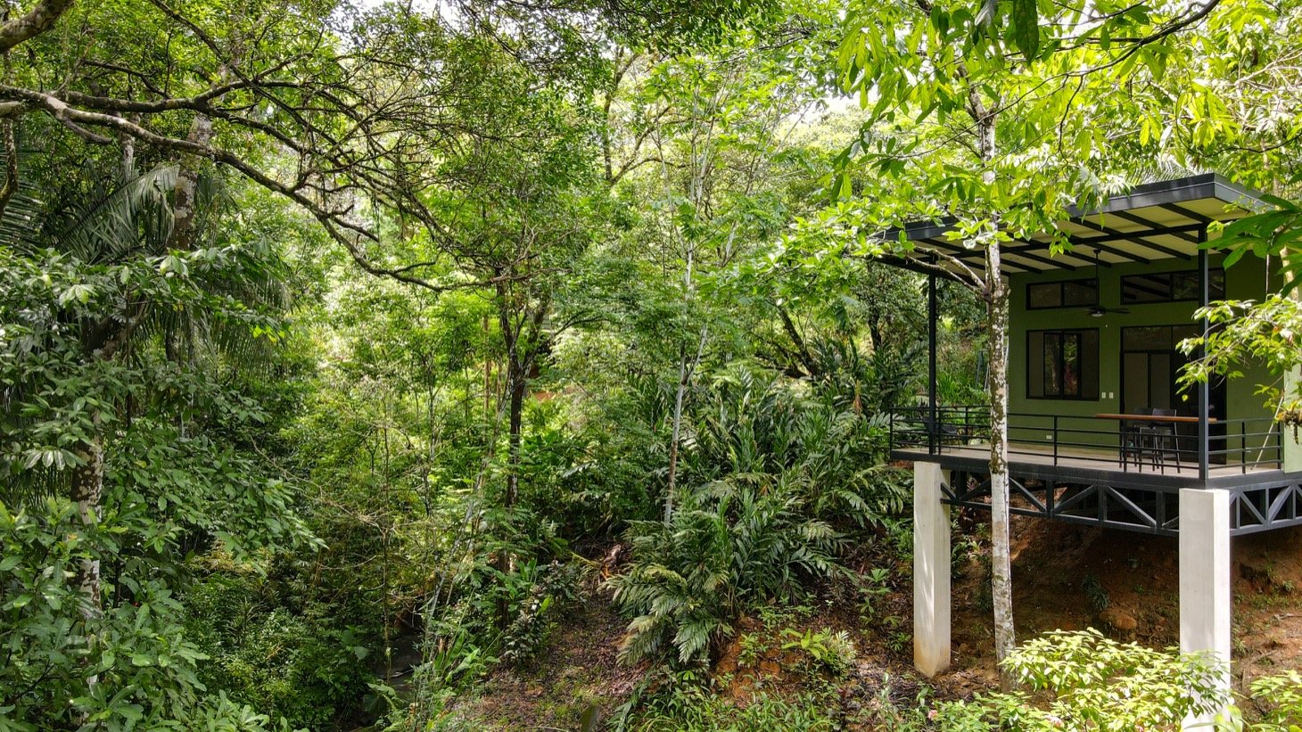 Modern House For Sale With Jungle View, Peaceful Stream, and Rental Cabins