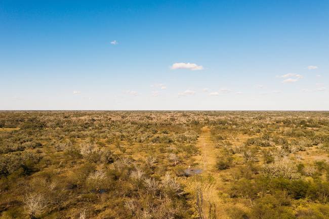 652 Acres in Refugio County 