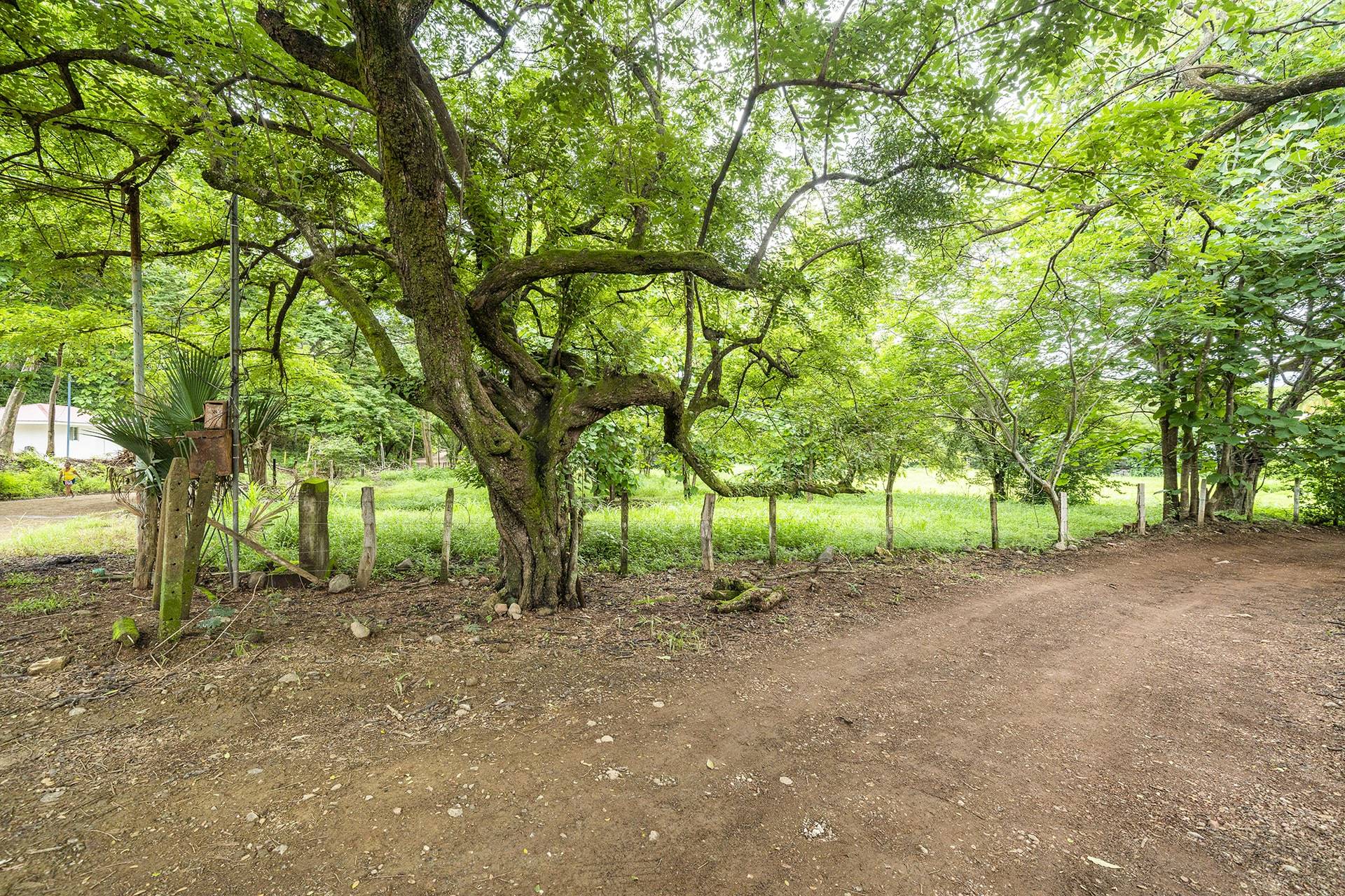 Flamingo 2.8 Hectare Parcel Playa Flamingo