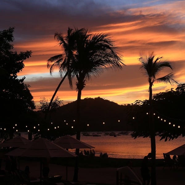  Pacifico Coastal Living