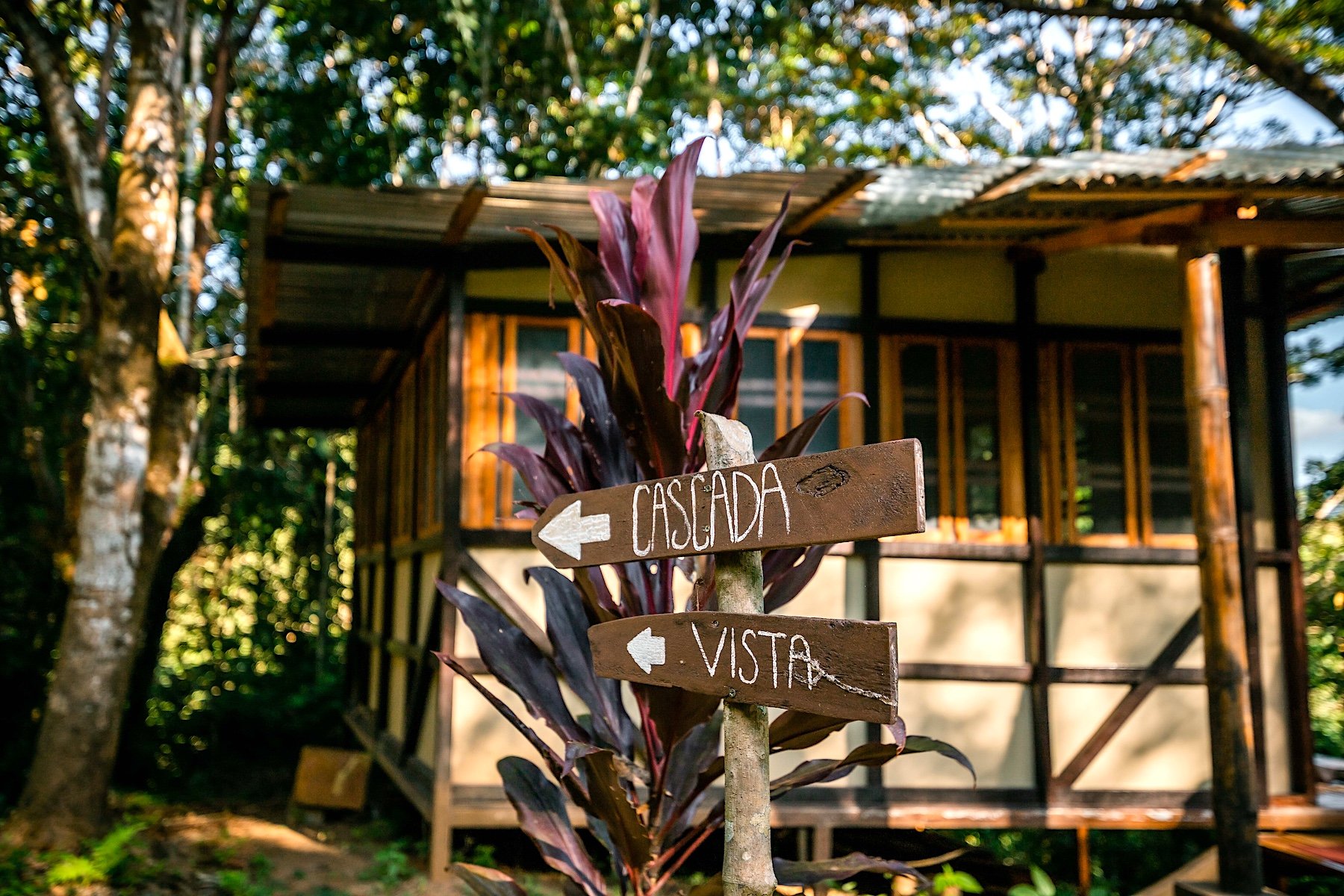 CASCADA ELYSIANA – ECO-RETREAT WITH HUGE WATERFALL