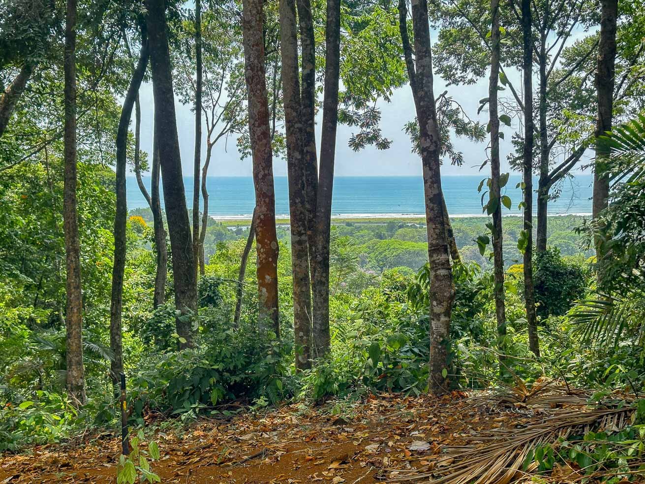 23-Acre Prime Highway Frontage Lot Near Ojochal & Ocean