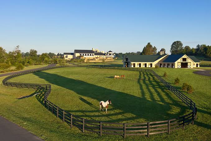 Horses grazing in a green pasture behind black board fencing at a Middleburg, Virginia horse farm, with a barn and stone estate in the background
