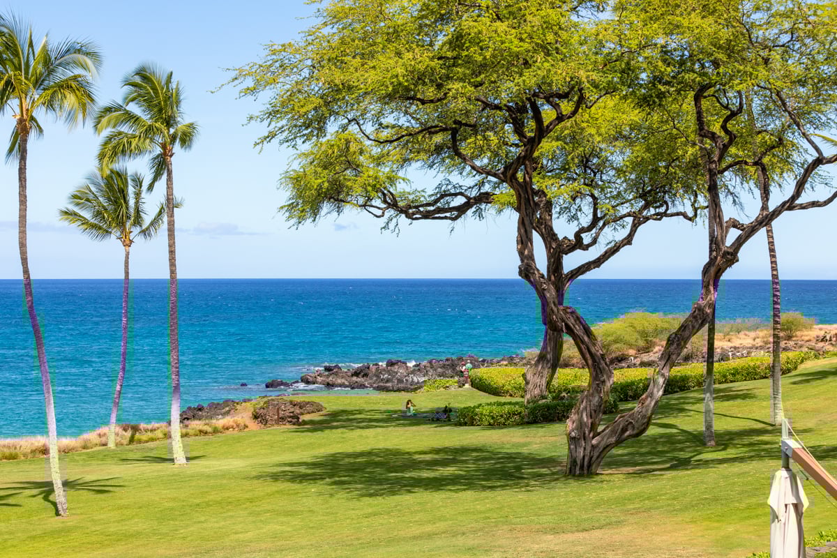 66-84 Kaunaoa Dr, #B23