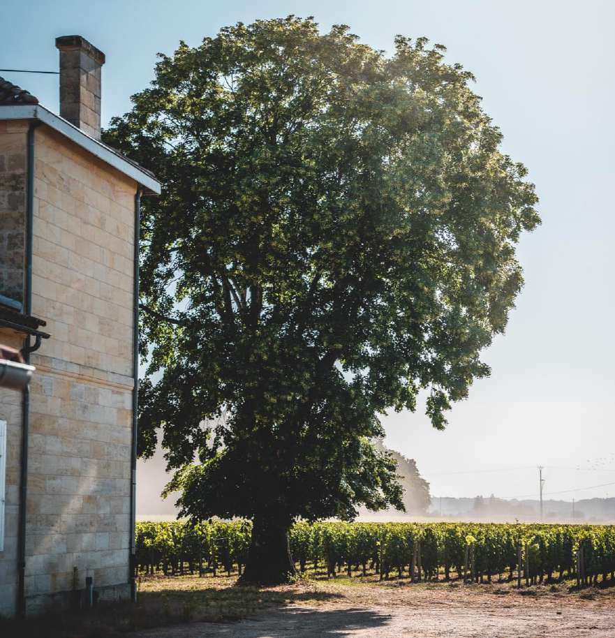 Saint-Émilion, Bordeaux, France