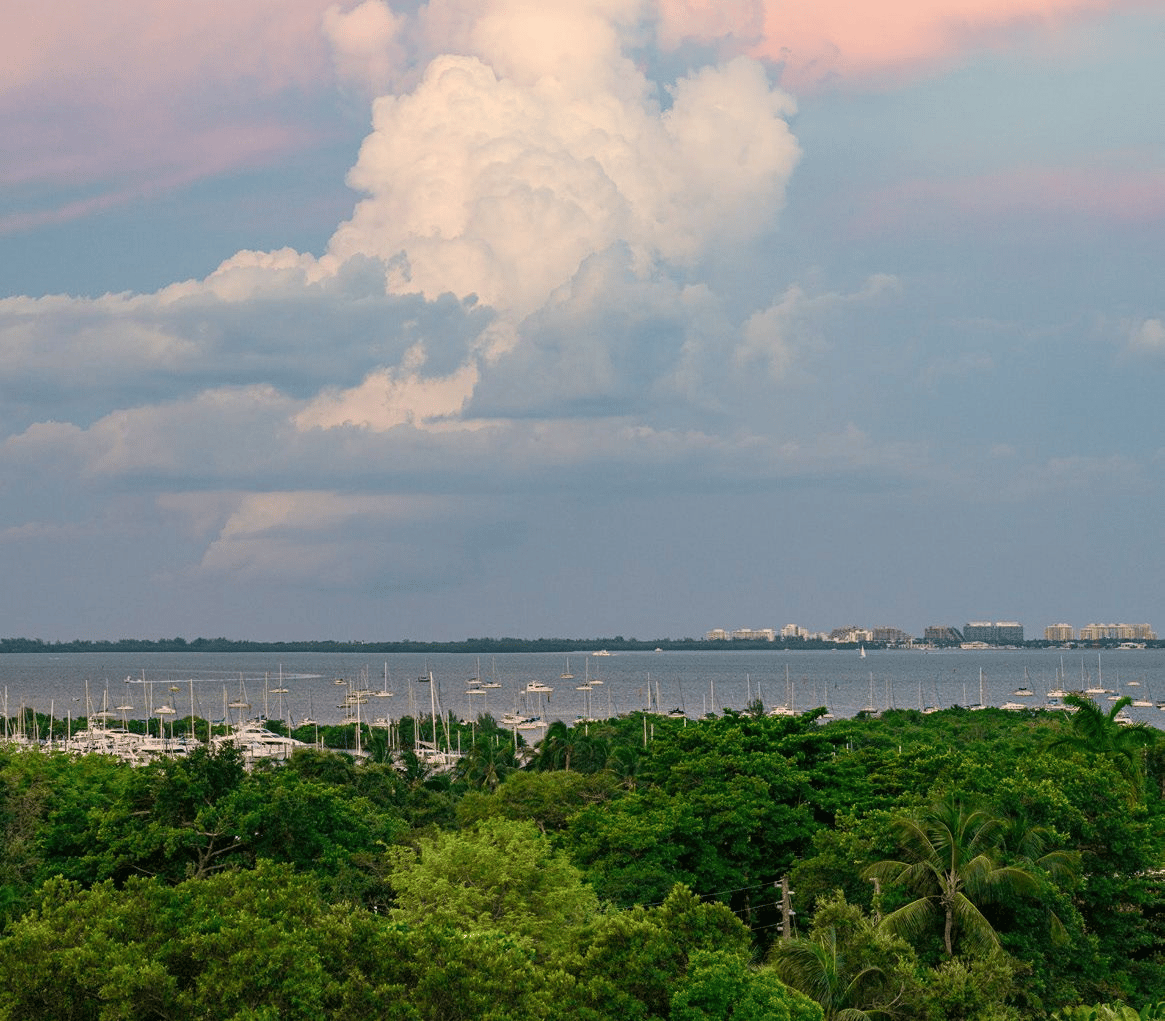 THE WELL Coconut Grove