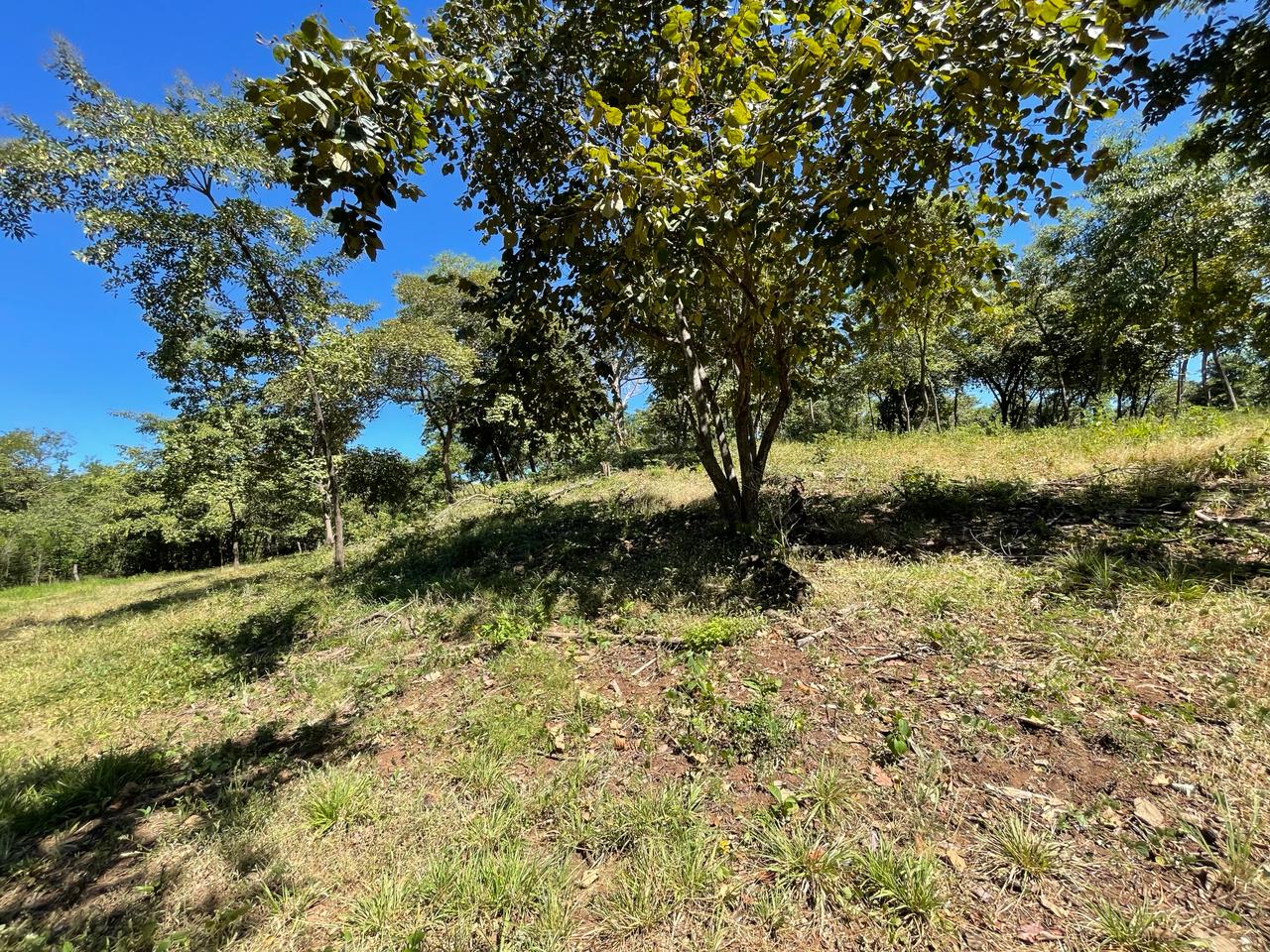 Beautiful Estate Lots Strategically Located in Villareal – Tamarindo – Guanacaste