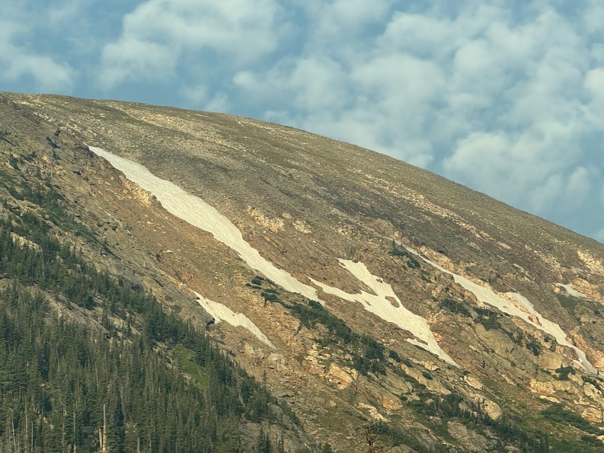 Driving Into the Wild: A Sensory Journey Along Old Fall River Road