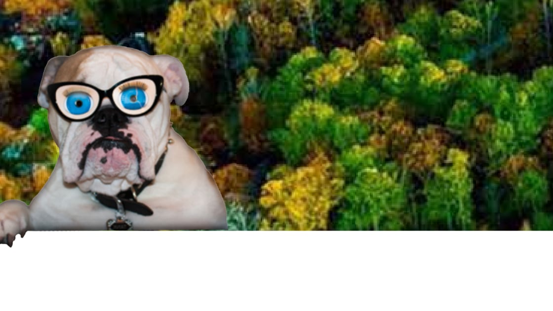 Celebrate the Holidays Around Lake Oconee: November–December 2025 Events